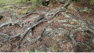 Photo Textures of Nature